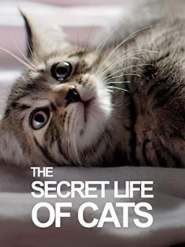 BBC地平线：猫的秘密生活
