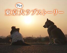 東京犬愛情故事